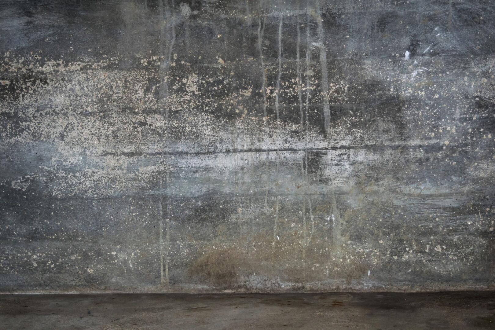wall-872826_1920